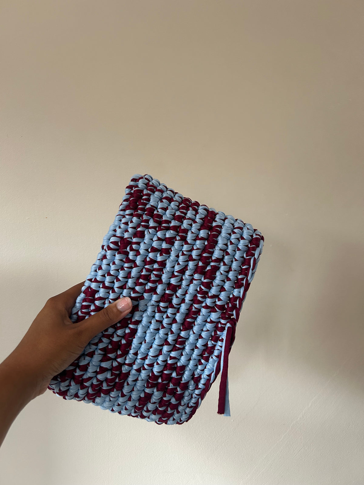 Blueberry Crochet Book Sleeve